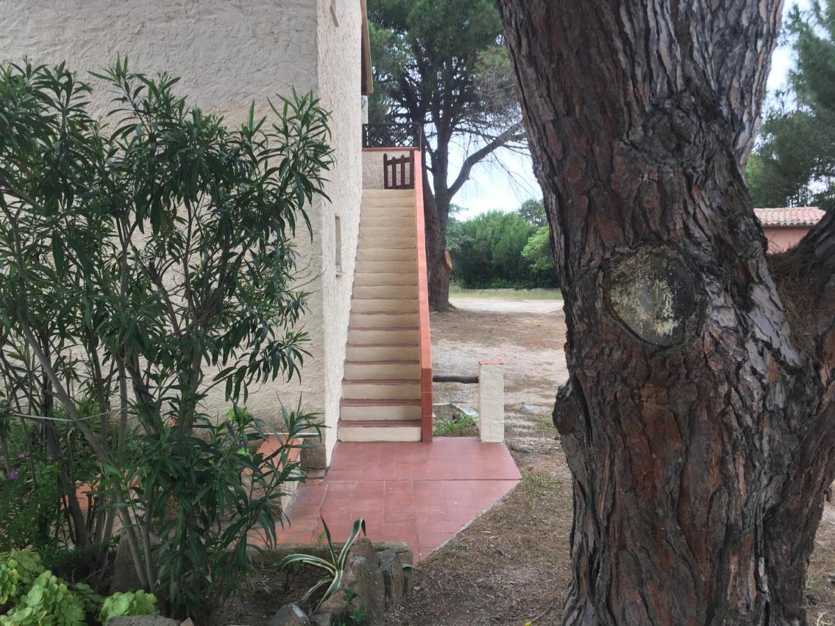 Monolocale A Rena Majore Di Gallura Екстериор снимка