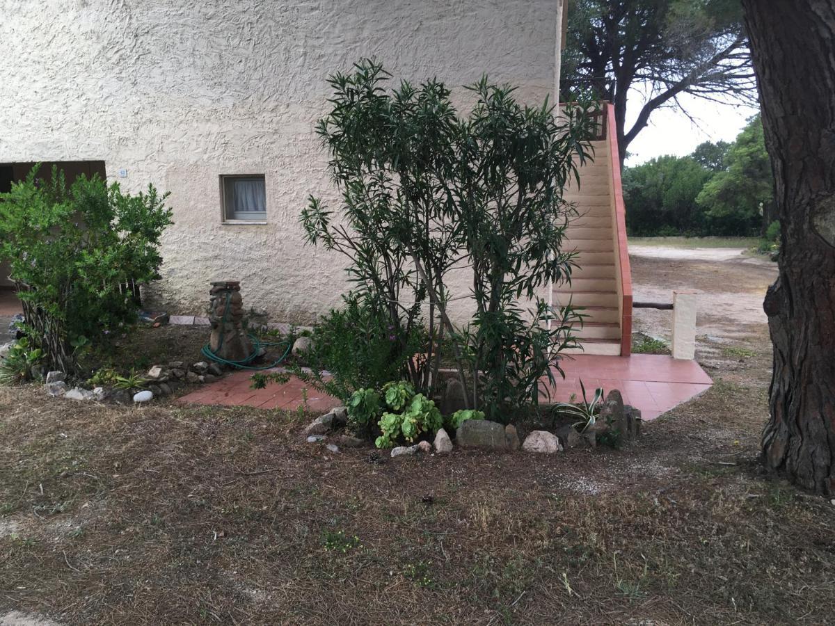 Monolocale A Rena Majore Di Gallura Екстериор снимка